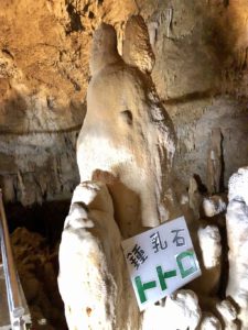 石垣島鍾乳洞の鍾乳石トトロ