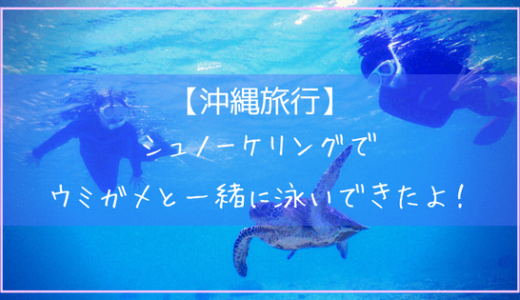 【沖縄旅行】人生初のシュノーケリング！泳ぎ得意じゃなくてもウミガメと一緒に泳げたよ！