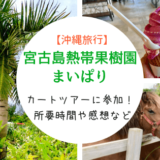 宮古島熱帯果樹園まいぱりへ行ってきた。