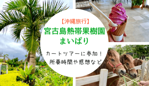 【沖縄旅行】『宮古島熱帯果樹園 まいぱり』でカートツアー！所要時間や感想など