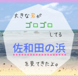 佐和田の浜に行ってきた。