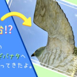 伊良部島の展望台フナウサギバナタへ行ってきた。