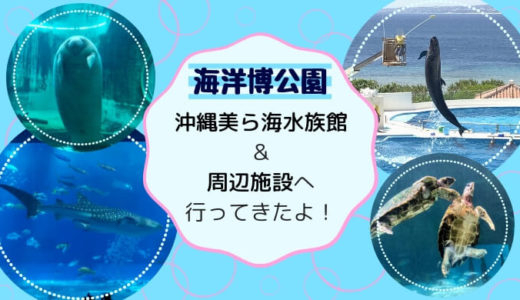 沖縄美ら海水族館（海洋博公園）の観光レポート！所要時間・駐車場も紹介