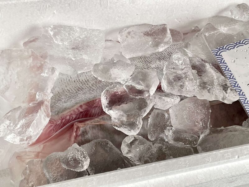 氷が入った冷蔵便で届いた須崎勘八