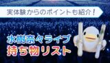 水樹奈々ライブの持ち物リスト｜初めてでも安心！実体験から必須＆便利グッズを解説