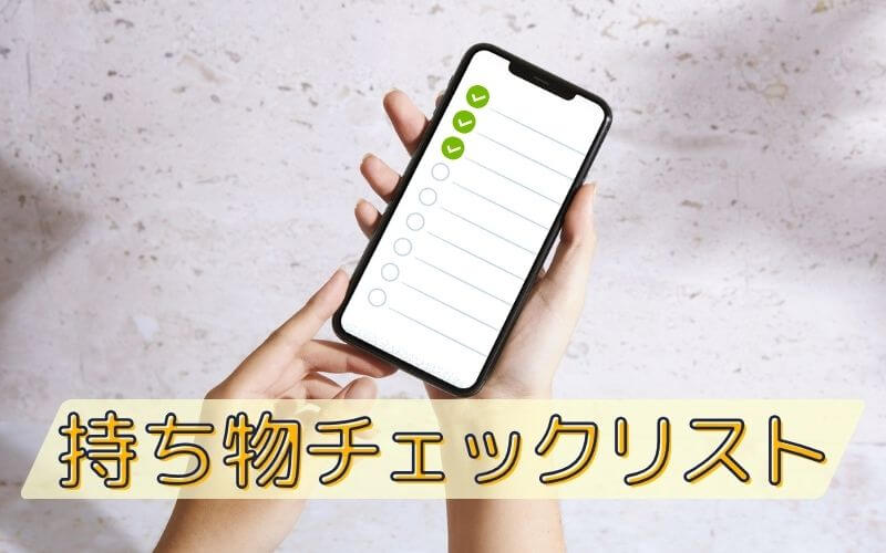 水樹奈々ライブの持ち物チェックリスト